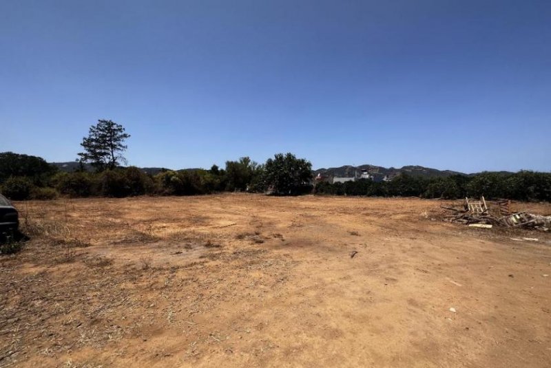 Alikianos Kreta - Alikianos: Flaches Baugrundstück, perfekt für Ihr Traumhaus Grundstück kaufen